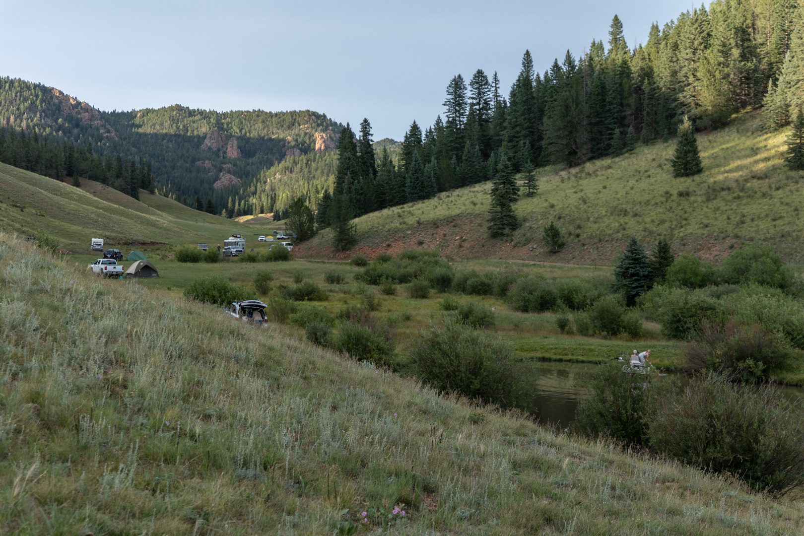 The valley meadow below the timber at Elk Glade, GMU 59