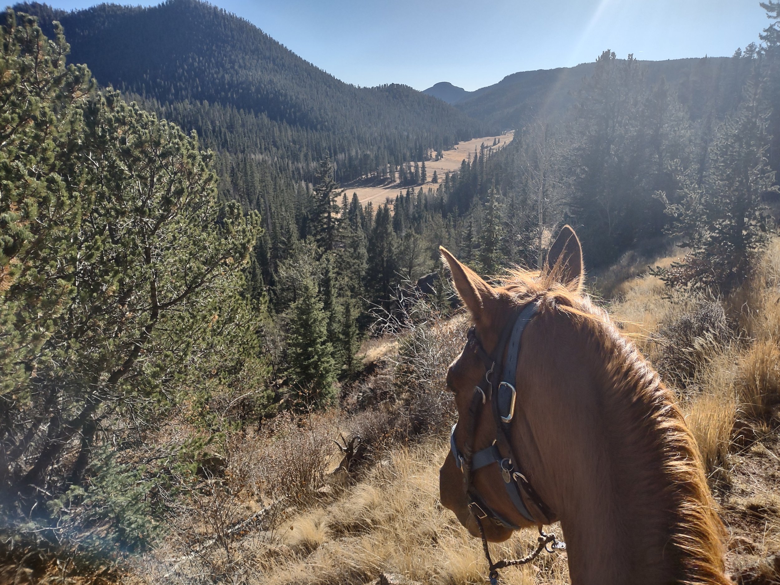 Looking out between a horse's ears over the East Beaver Valley
