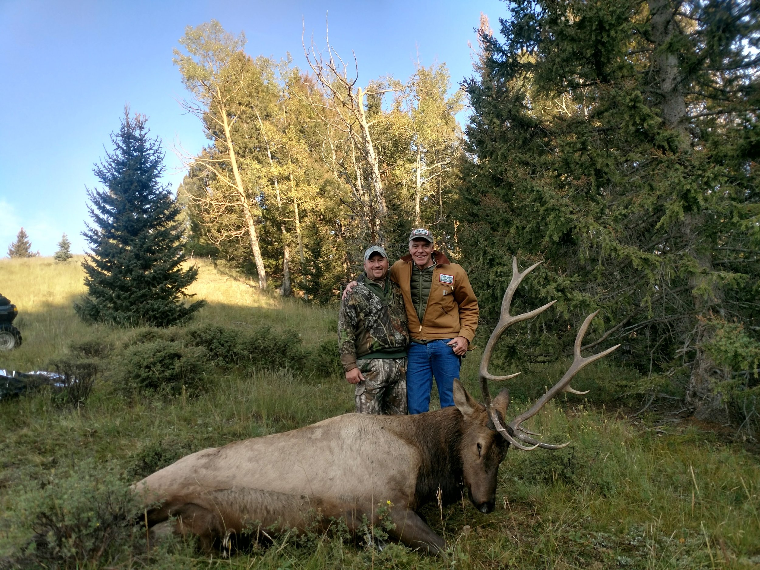Two hunters with a mature bull elk in the timber at Elk Glade, GMU 59