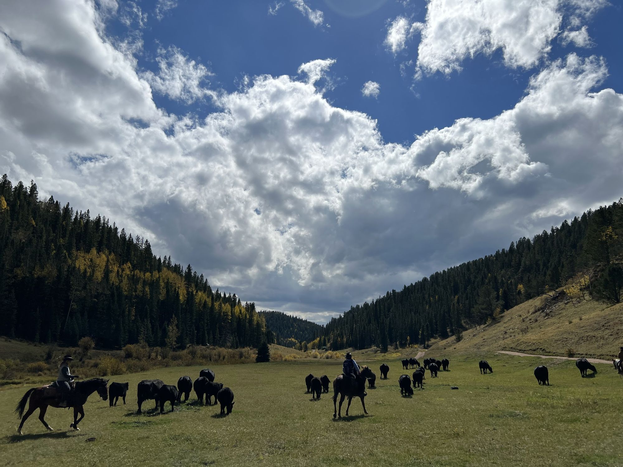 Riders and cattle in a wide valley under big clouds