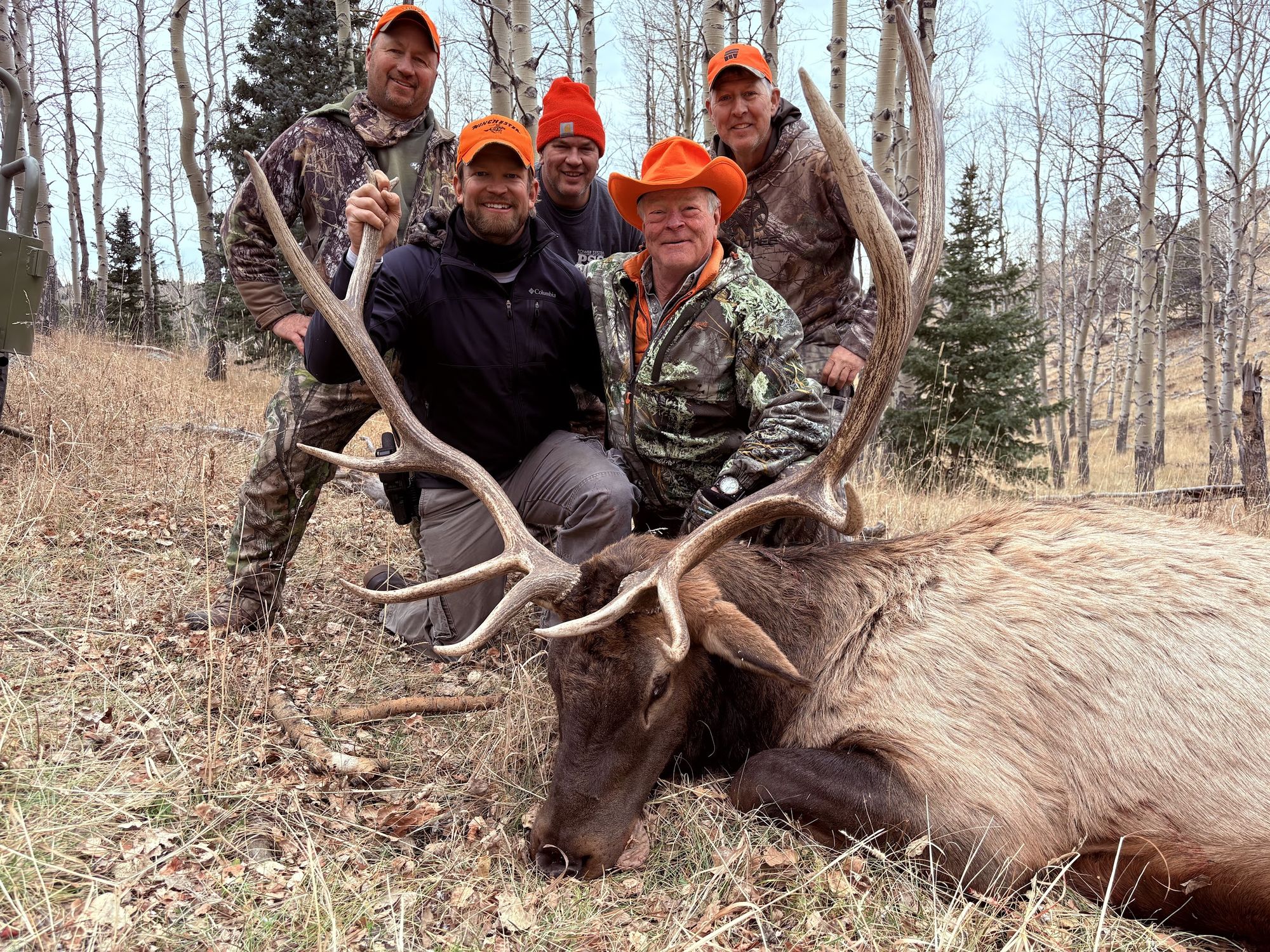 Four hunters in blaze orange with a bull elk in the aspens at Elk Glade, GMU 59