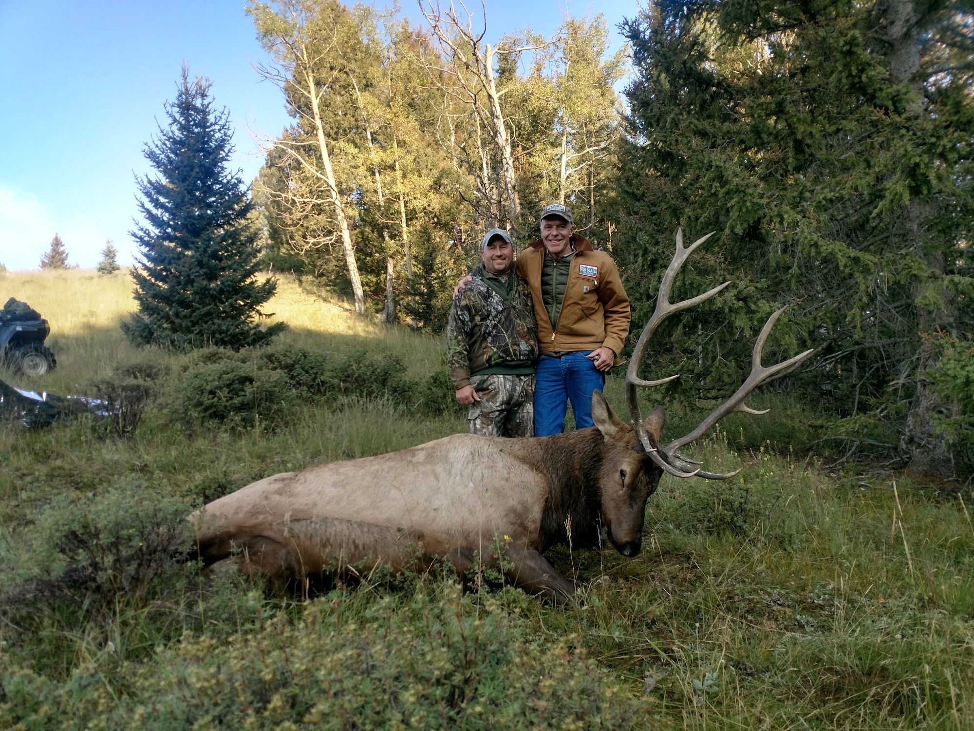 Two hunters with a bull elk in a green meadow below the aspens and spruce at Elk Glade