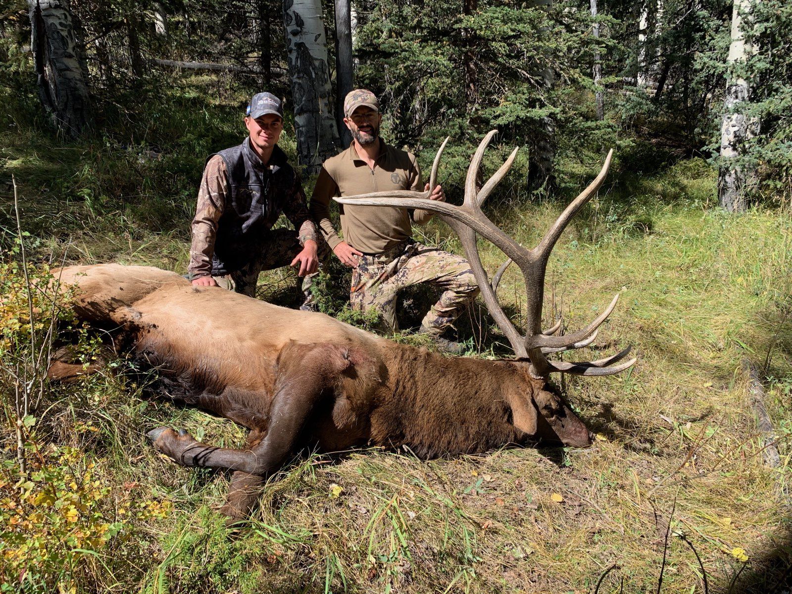 Two hunters with a bull elk among the aspens at Elk Glade