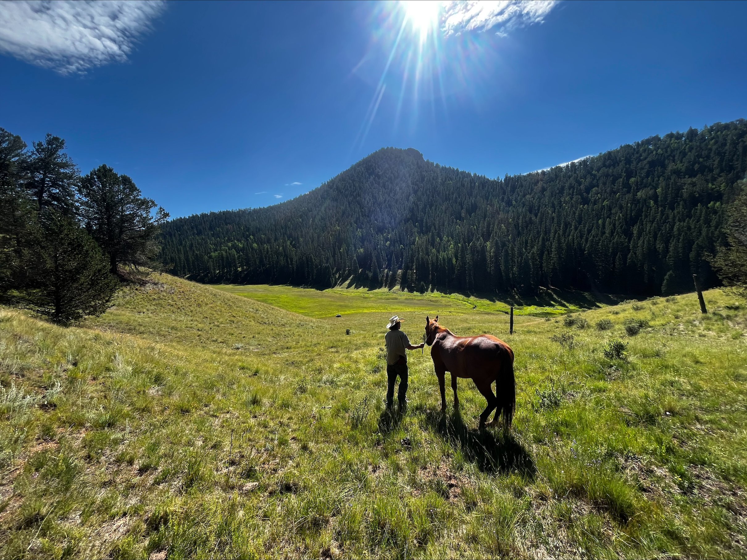 A rider and his horse in a high meadow below a timbered peak