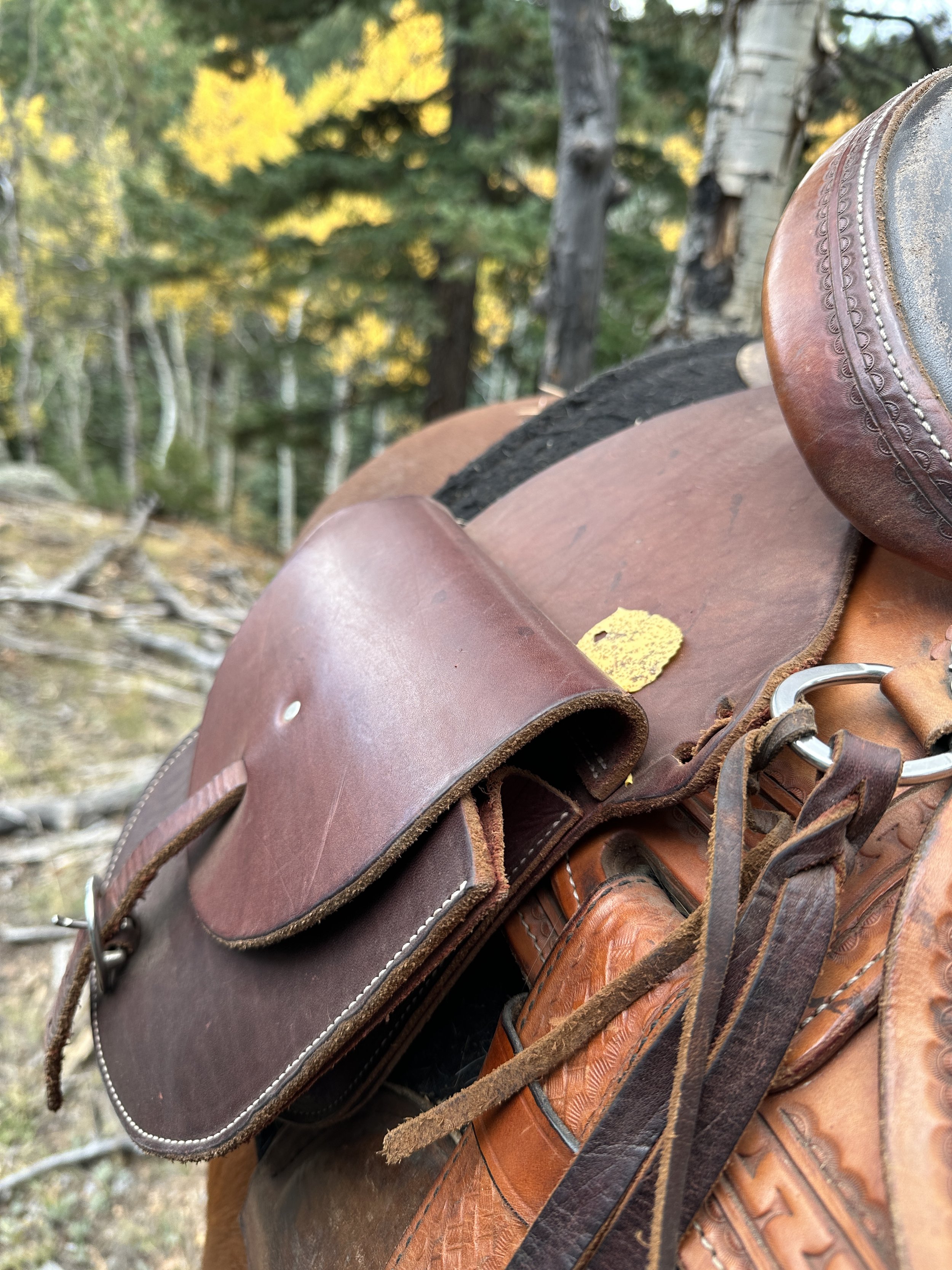 A leather saddle bag on a ranch saddle in the fall aspens