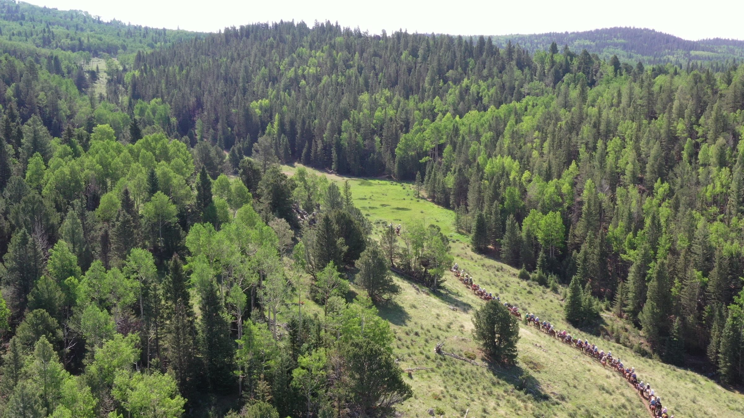 North Point Samples Colorado GMU 161 Elk · North Park · Park Range Flank — Unit Profile ...
